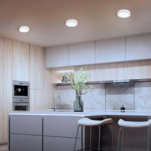 Plafon Sobrepuesto Redondo negro 18w - Instalado